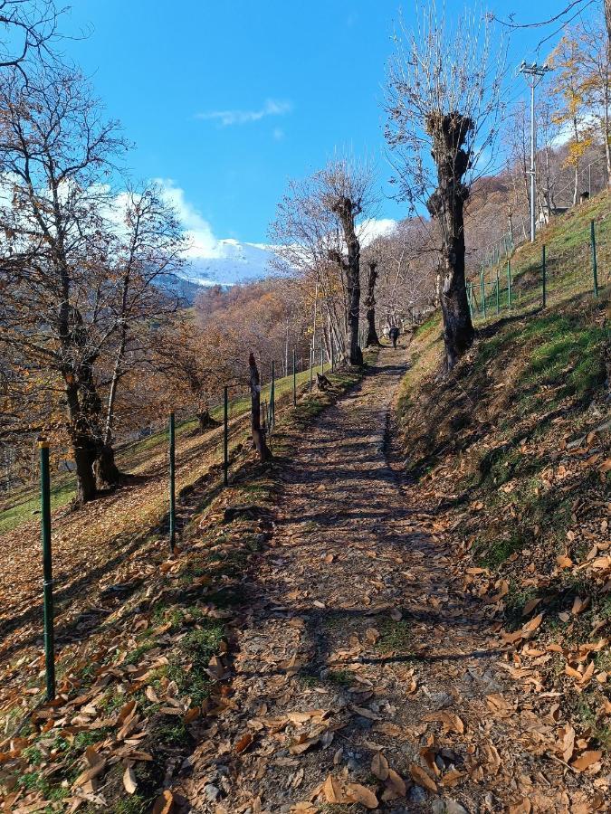 Bbb Bed&Breakfast Bagneri Muzzano Esterno foto
